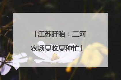 江苏盱眙：三河农场夏收夏种忙