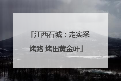 江西石城：走实采烤路 烤出黄金叶