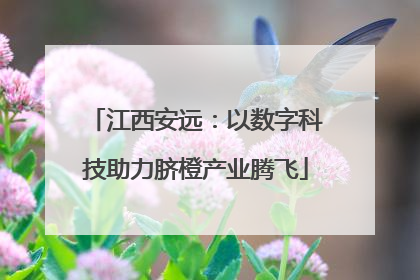 江西安远：以数字科技助力脐橙产业腾飞