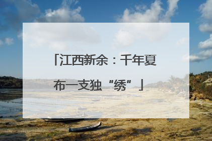 江西新余：千年夏布一支独“绣”