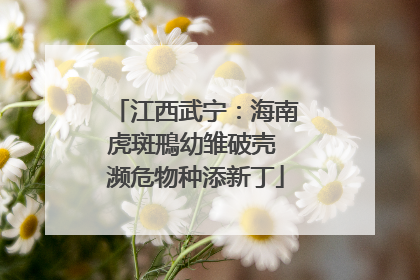 江西武宁：海南虎斑鳽幼雏破壳 濒危物种添新丁