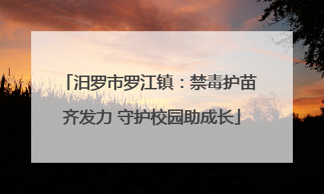 汨罗市罗江镇：禁毒护苗齐发力 守护校园助成长