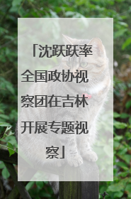 沈跃跃率全国政协视察团在吉林开展专题视察