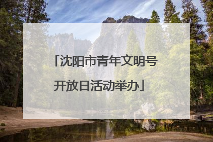 沈阳市青年文明号开放日活动举办
