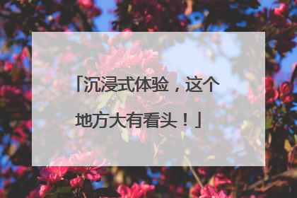 沉浸式体验，这个地方大有看头！