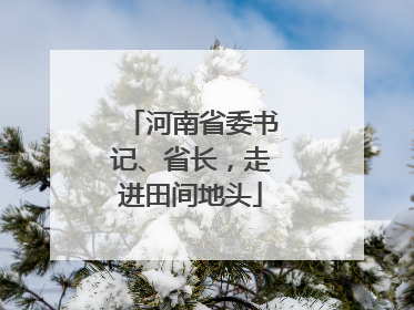 河南省委书记、省长，走进田间地头