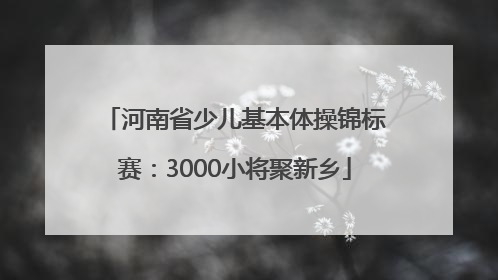 河南省少儿基本体操锦标赛：3000小将聚新乡