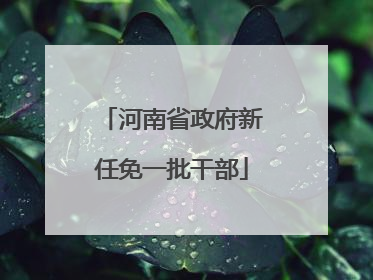 河南省政府新任免一批干部