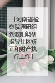 河南省检察院调研组到濮阳调研指导社区矫正和财产执行工作