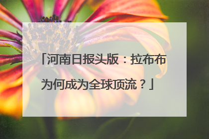 河南日报头版：拉布布为何成为全球顶流？