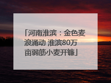 河南淮滨：金色麦浪涌动 淮滨80万亩弱筋小麦开镰