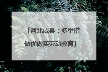 河北威县：多举措做优做实劳动教育