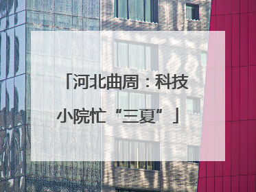 河北曲周：科技小院忙“三夏”