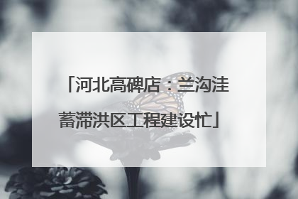 河北高碑店：兰沟洼蓄滞洪区工程建设忙