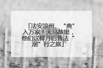 法安凉州、“典”入万家！天马故里，他们这样开启普法“潮”行之旅