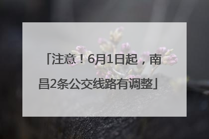 注意！6月1日起，南昌2条公交线路有调整