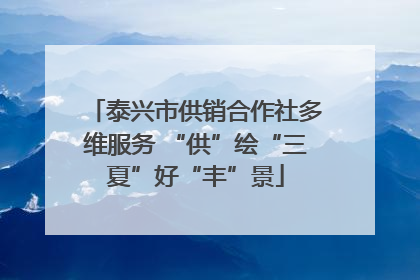 泰兴市供销合作社多维服务 “供”绘“三夏”好“丰”景