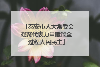 泰安市人大常委会凝聚代表力量赋能全过程人民民主
