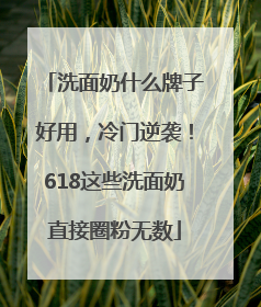 洗面奶什么牌子好用，冷门逆袭！618这些洗面奶直接圈粉无数