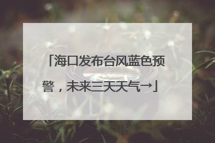 海口发布台风蓝色预警，未来三天天气→