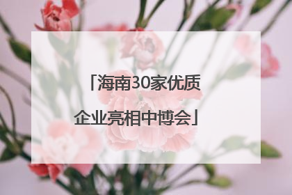 海南30家优质企业亮相中博会