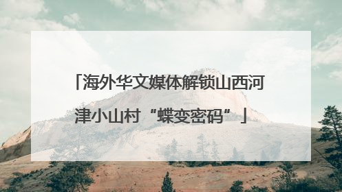 海外华文媒体解锁山西河津小山村“蝶变密码”