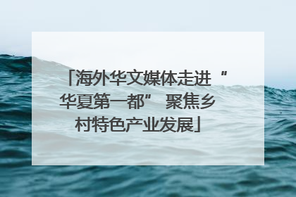 海外华文媒体走进“华夏第一都” 聚焦乡村特色产业发展