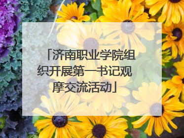 济南职业学院组织开展第一书记观摩交流活动