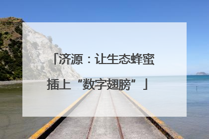 济源：让生态蜂蜜插上“数字翅膀”
