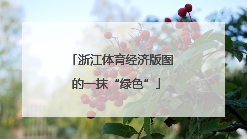 浙江体育经济版图的一抹“绿色”