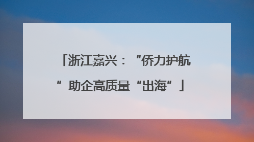 浙江嘉兴：“侨力护航”助企高质量“出海”