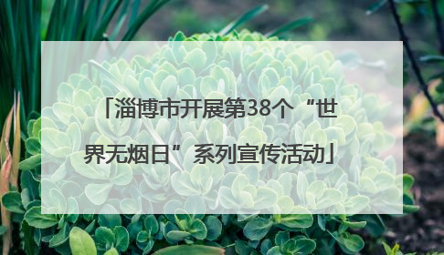 淄博市开展第38个“世界无烟日”系列宣传活动