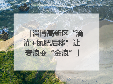 淄博高新区“滴灌+氮肥后移”让麦浪变“金浪”