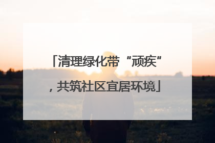 清理绿化带“顽疾”，共筑社区宜居环境
