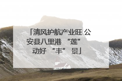 清风护航产业旺 公安县八里港 “莲” 动好 “丰” 景