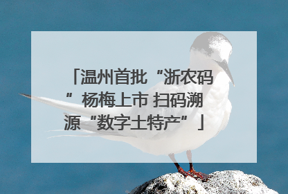 温州首批“浙农码”杨梅上市 扫码溯源“数字土特产”