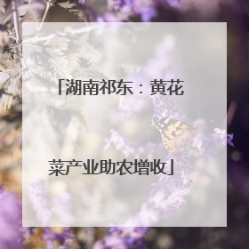 湖南祁东：黄花菜产业助农增收