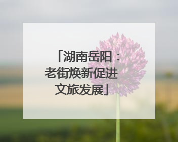 湖南岳阳：老街焕新促进文旅发展