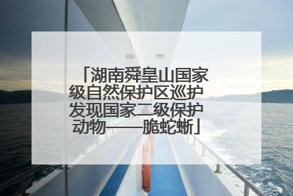 湖南舜皇山国家级自然保护区巡护发现国家二级保护动物——脆蛇蜥