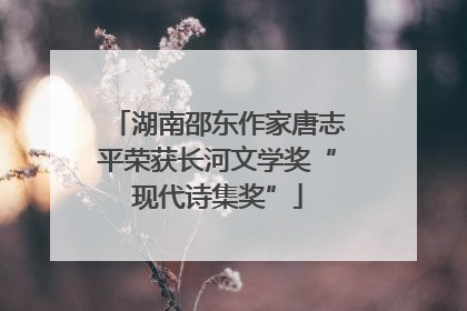 湖南邵东作家唐志平荣获长河文学奖“现代诗集奖”