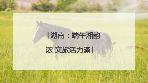 湖南：端午湘韵浓 文旅活力涌