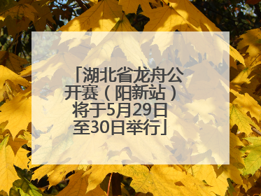 湖北省龙舟公开赛（阳新站）将于5月29日至30日举行