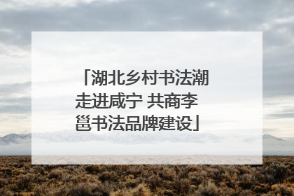 湖北乡村书法潮走进咸宁 共商李邕书法品牌建设
