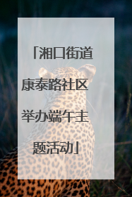 湘口街道康泰路社区举办端午主题活动