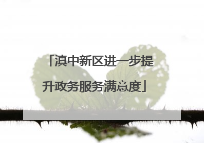滇中新区进一步提升政务服务满意度