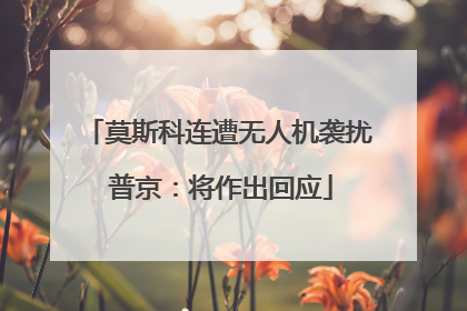 莫斯科连遭无人机袭扰 普京：将作出回应