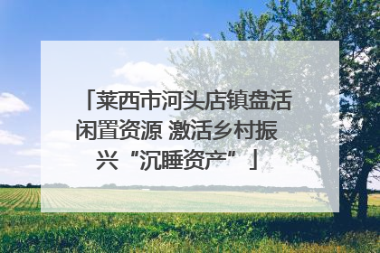 莱西市河头店镇盘活闲置资源 激活乡村振兴“沉睡资产”