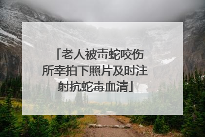 老人被毒蛇咬伤 所幸拍下照片及时注射抗蛇毒血清