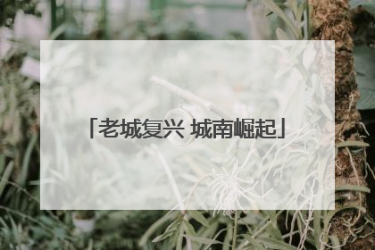 老城复兴 城南崛起
