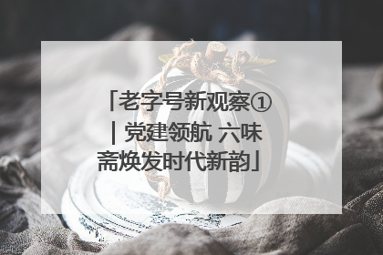 老字号新观察①｜党建领航 六味斋焕发时代新韵